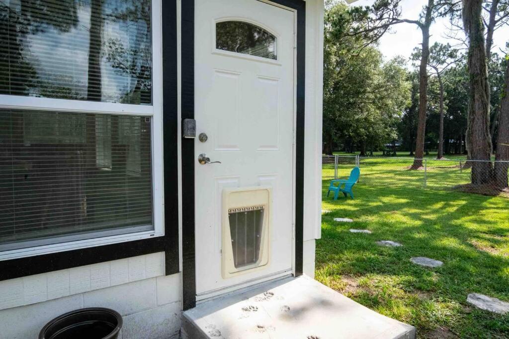 3Bdr2Bath Home In Lutz Close To Tampa, 20 Min To Stadium, Airport Zewnętrze zdjęcie