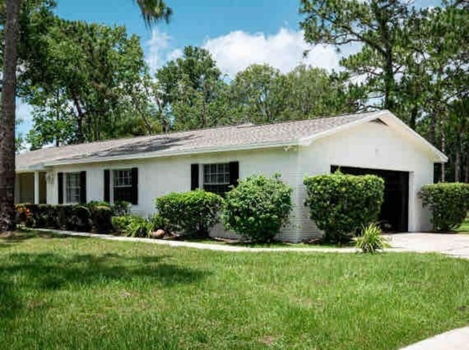 3Bdr2Bath Home In Lutz Close To Tampa, 20 Min To Stadium, Airport Zewnętrze zdjęcie
