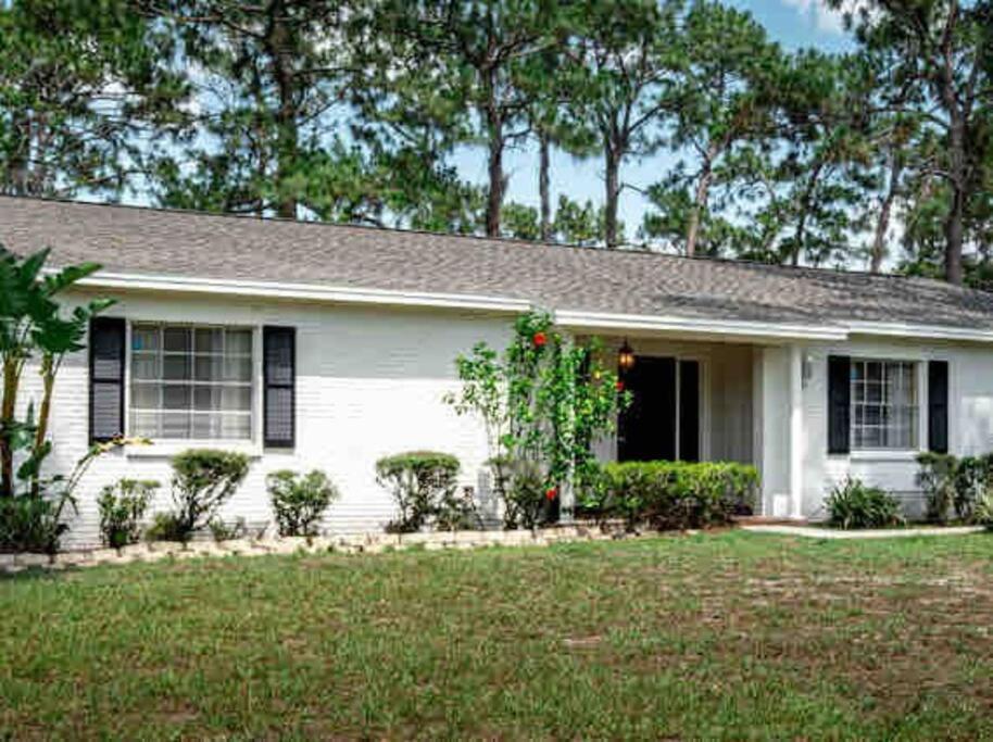 3Bdr2Bath Home In Lutz Close To Tampa, 20 Min To Stadium, Airport Zewnętrze zdjęcie